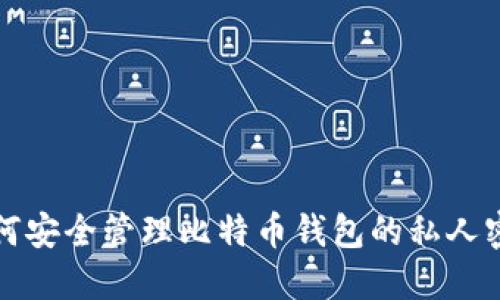 如何安全管理比特币钱包的私人密钥