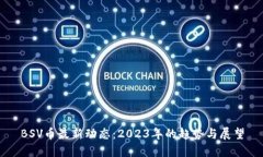 BSV币最新动态：2023年的趋