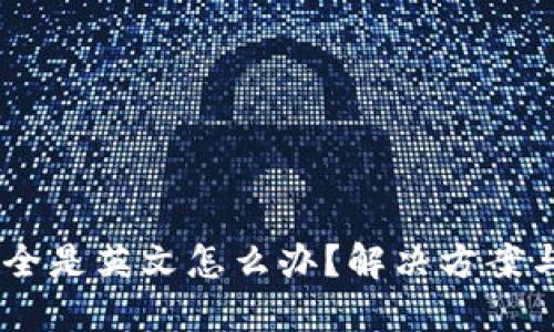 USDT钱包全是英文怎么办？解决方案与实用技巧