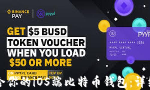 
如何选择适合你的iOS端比特币钱包：详细指南与推荐