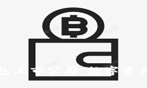 区块链电子钱包上市公司：数字资产的新时代先锋