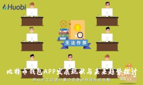 比特币钱包APP发展现状与未来趋势探讨