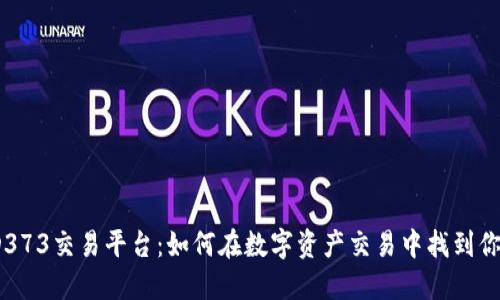 探秘DD373交易平台：如何在数字资产交易中找到你的机会