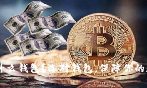 存放USDT用什么钱包？选对钱包，保障你的数字资产安全