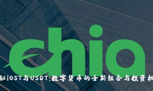揭秘iOST与USDT：数字货币的全新组合与投资机遇