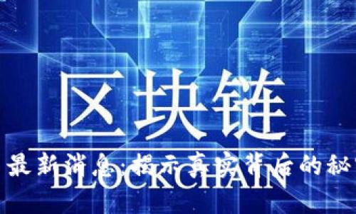 派币今日最新消息：揭示真实背后的秘密与机遇