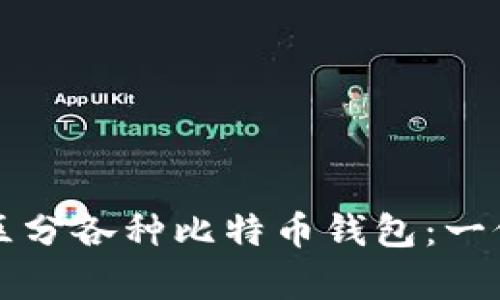 如何有效区分各种比特币钱包：一份详尽指南