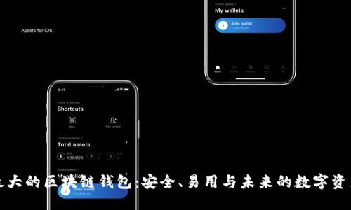 全球最大的区块链钱包：安全、易用与未来的数字资产管理