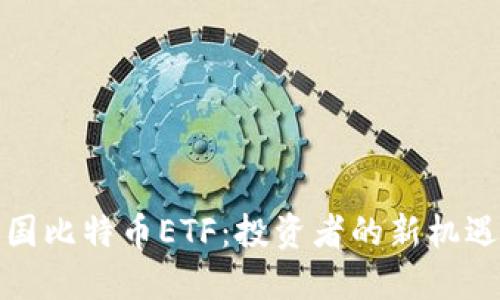 揭秘美国比特币ETF：投资者的新机遇与挑战