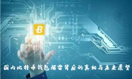 国内比特币钱包爆雷背后的真相与未来展望