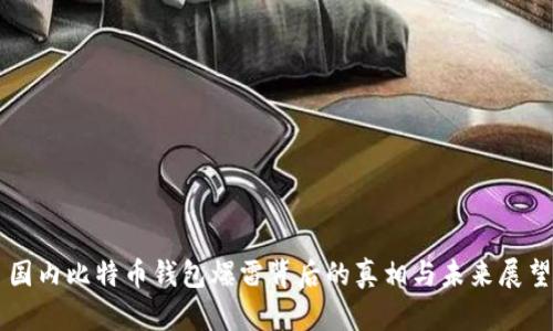 国内比特币钱包爆雷背后的真相与未来展望