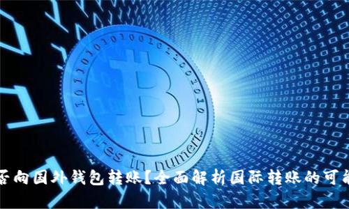 比特币能否向国外钱包转账？全面解析国际转账的可能性与方式