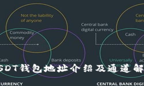 USDT钱包地址介绍及通道解析