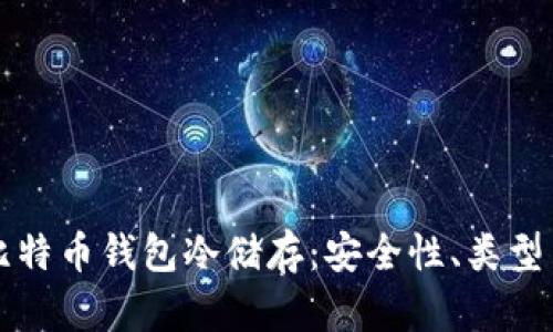 全面解析比特币钱包冷储存：安全性、类型与使用指南