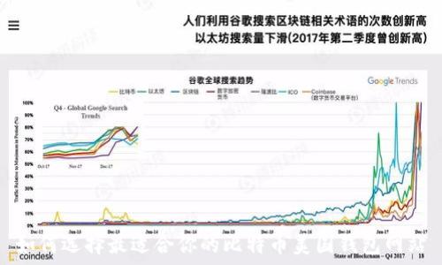   
如何选择最适合你的比特币美国钱包网站
