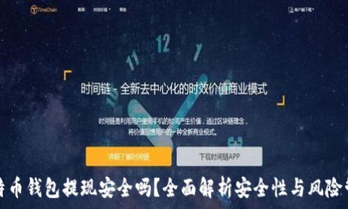   
比特币钱包提现安全吗？全面解析安全性与风险管理