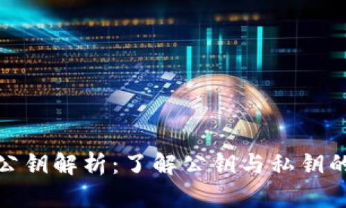 比特币钱包公钥解析：了解公钥与私钥的区别及用途