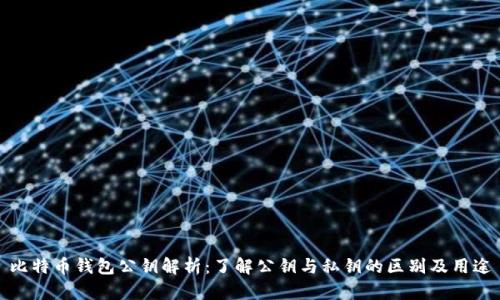 比特币钱包公钥解析：了解公钥与私钥的区别及用途