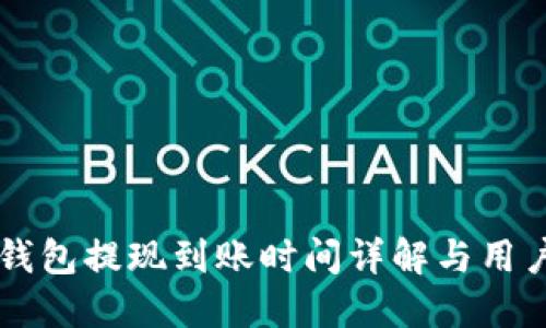 马上钱包提现到账时间详解与用户指南