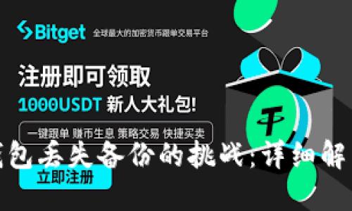 如何应对以太坊钱包丢失备份的挑战：详细解决方案与预防措施