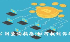 以太坊钱包公钥查询指南