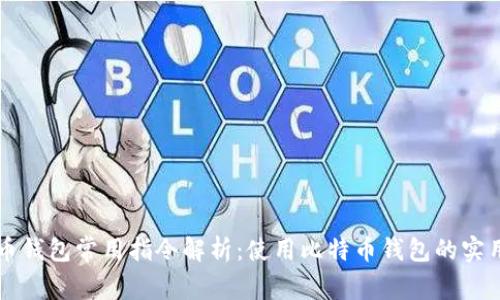 比特币钱包常用指令解析：使用比特币钱包的实用指南