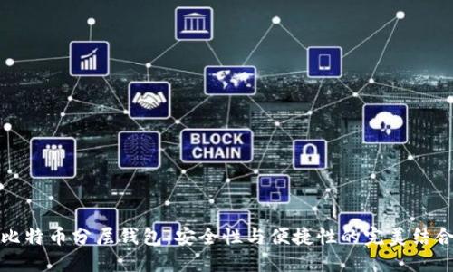 比特币分层钱包：安全性与便捷性的完美结合