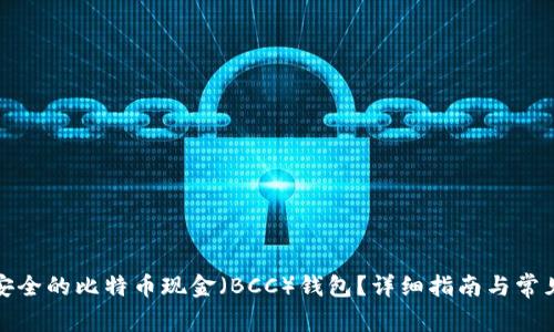 如何选择安全的比特币现金（BCC）钱包？详细指南与常见问题解答