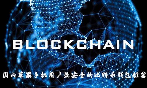 国内苹果手机用户最安全的比特币钱包推荐