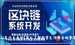 PayPal是什么币种？深入了