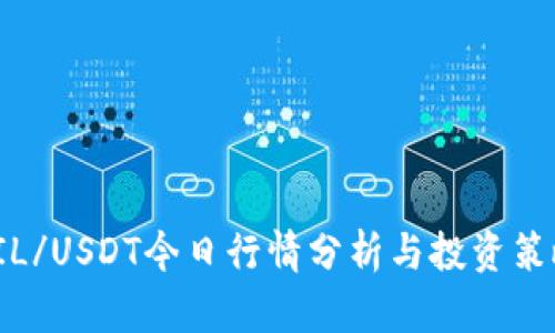 FIL/USDT今日行情分析与投资策略